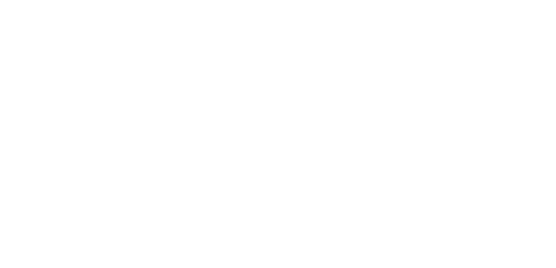 Disability Confident Emplyer